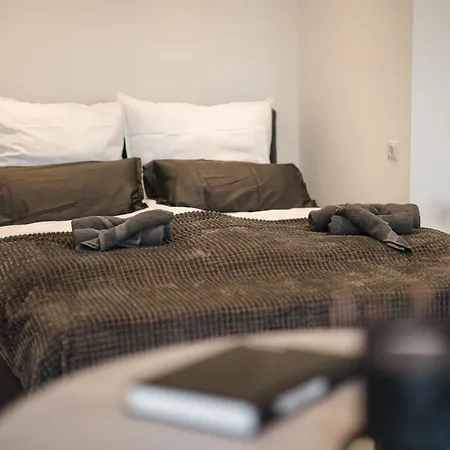 Exklusive 1-zimmer Stadtwohnung In 아파트